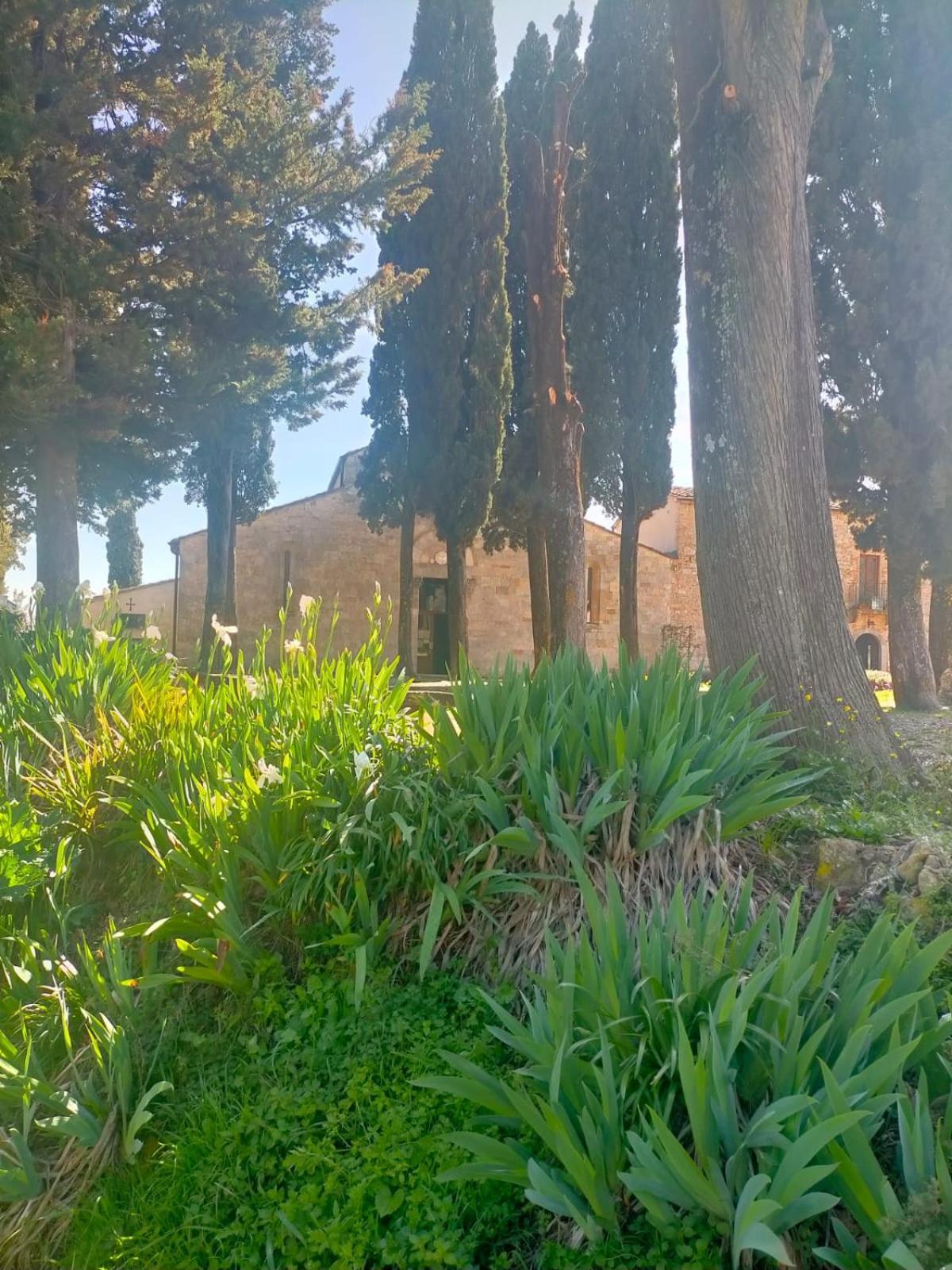 Cielo - Antica Casa Sulla Via Francigena Villa San Gimignano Exterior photo